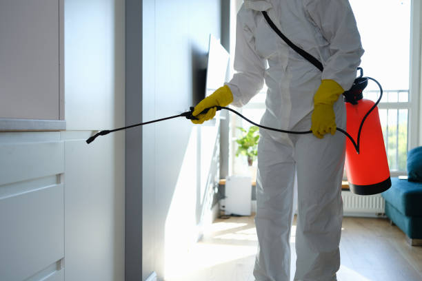 Why You Should Choose Our Mold Remediation Services in Rose Hill, NC